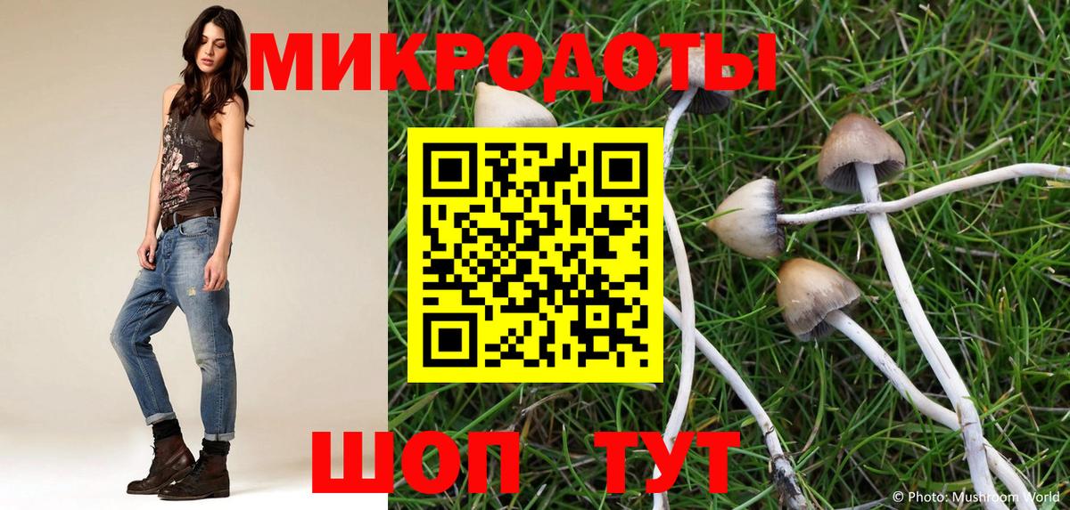 Псилоцибиновые грибы Cubensis  купить наркоту  Улан-Удэ  Псилоцибиновые грибы Psilocybe  Вход с VPN 