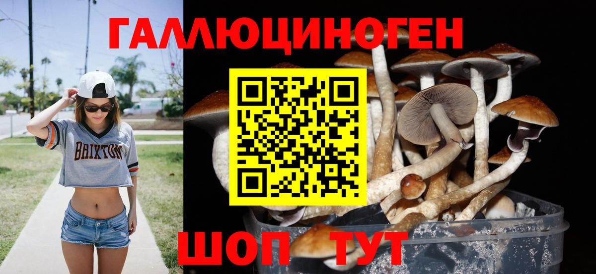 Псилоцибиновые грибы ЛСД Улан-Удэ